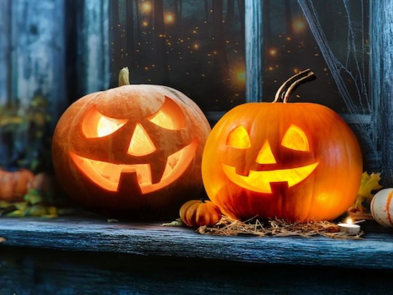Halloween Na zahradě Halloween Na zahradě