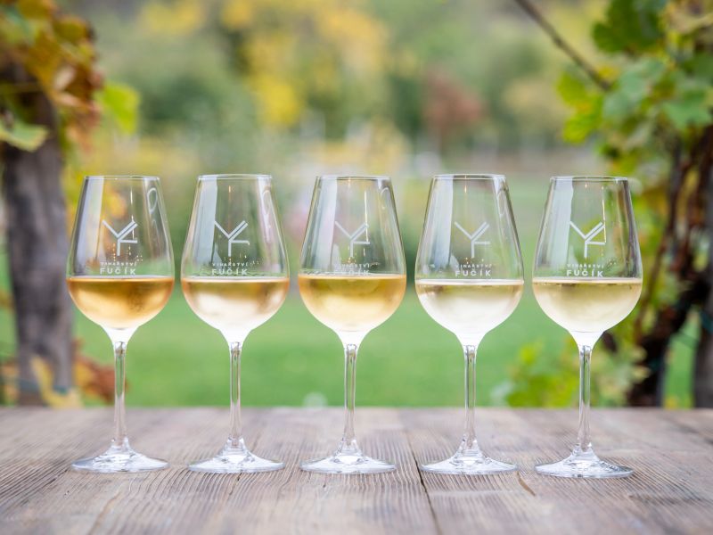 Degustační sobota ve Vinařství Fučík Degustační sobota ve Vinařství Fučík