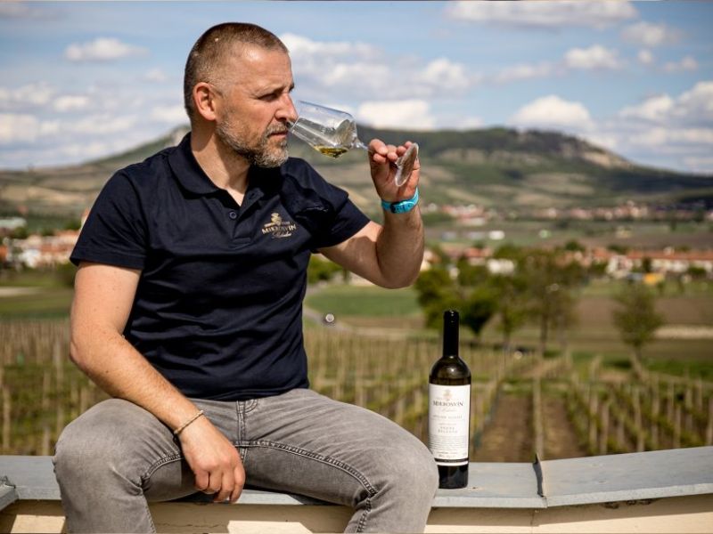 Zlatá hodinka s Mikrosvínem