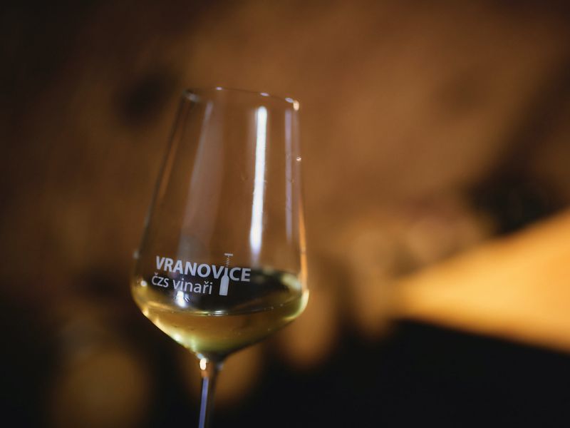 16. ročník výstavy archivních vín 16. ročník výstavy archivních vín