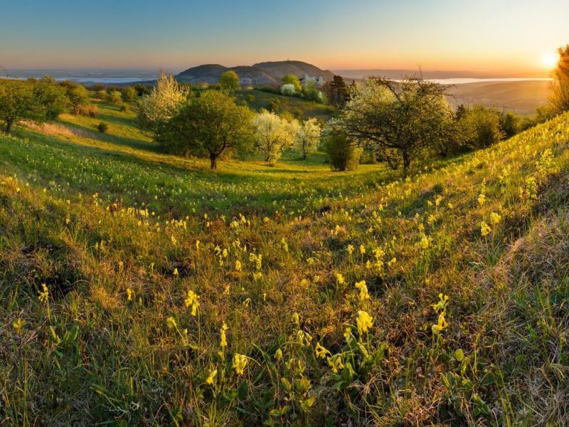 Fotokrajinářský den
