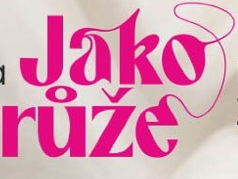 Jako růže - móda zrcadlem doby Jako růže - móda zrcadlem doby