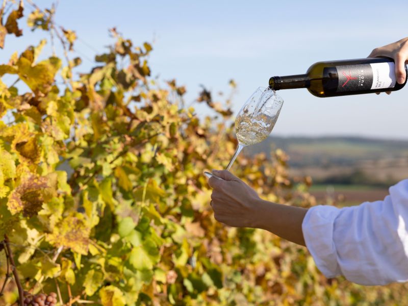 Sváteční degustace ve Vinařství Fučík