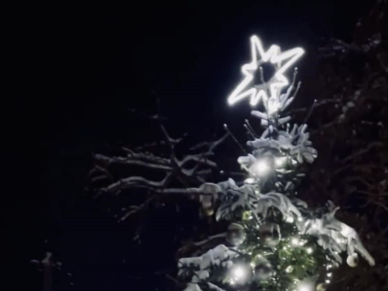 Rozsvícení vánočního stromu