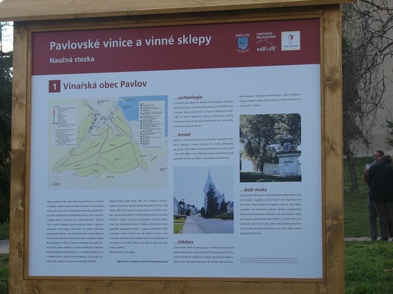 Pavlovské vinice a vinné sklepy