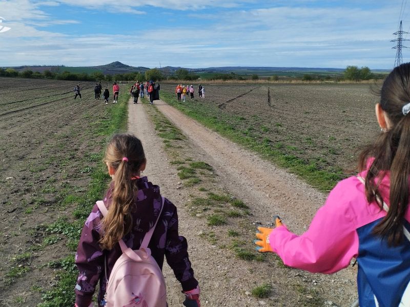 Ukliďme Česko, ukliďme Pálavu