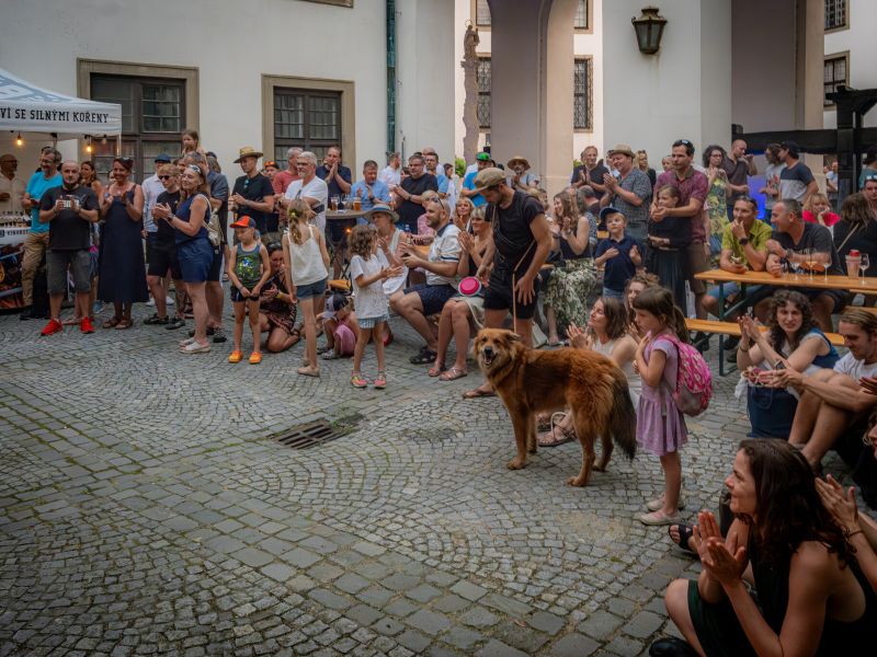 Slavnostní zakončení a vernisáž výstavy 33. ročníku - Mikulovské výtvarné sympozium "dílna"