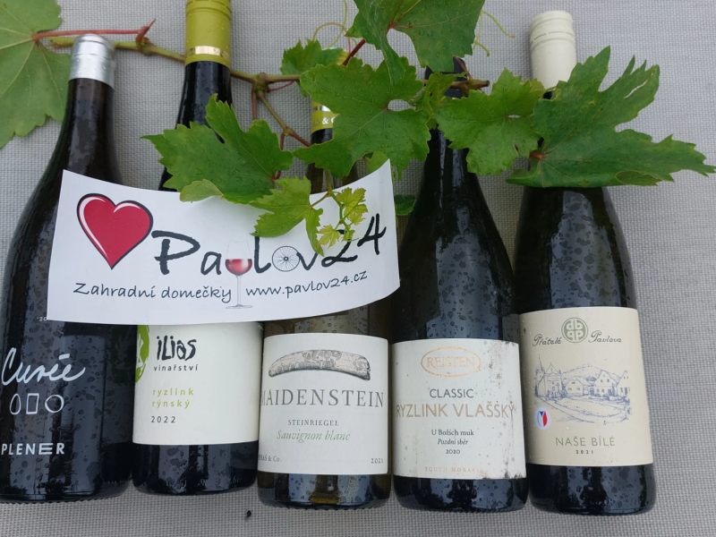 Zahradní degustace pavlovských vín