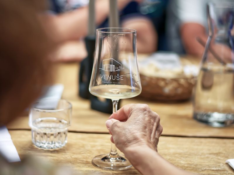 Degustace nejlepších vín z Pálavy