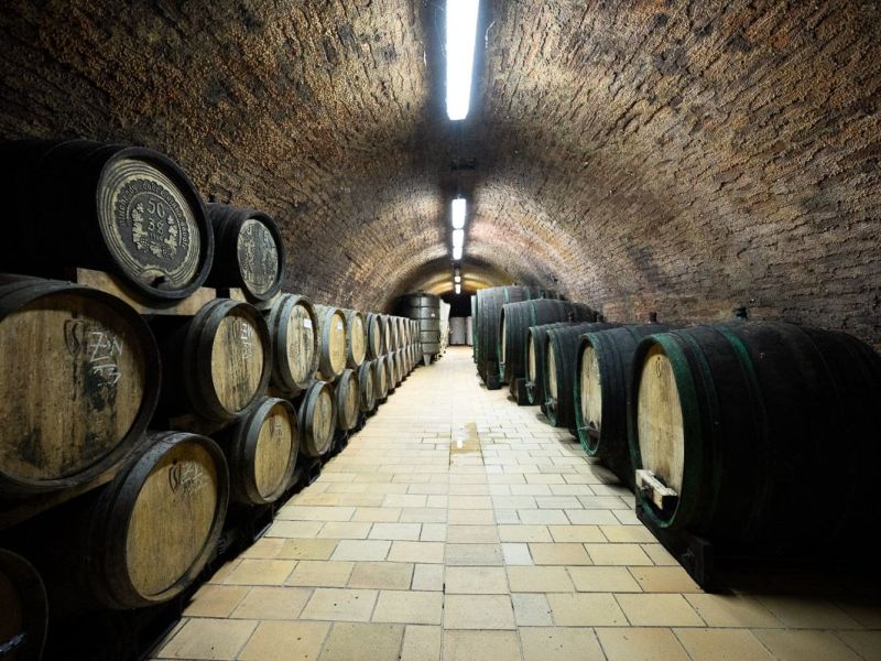 Degustace s prohlídkou výrobního a ležáckého sklepa