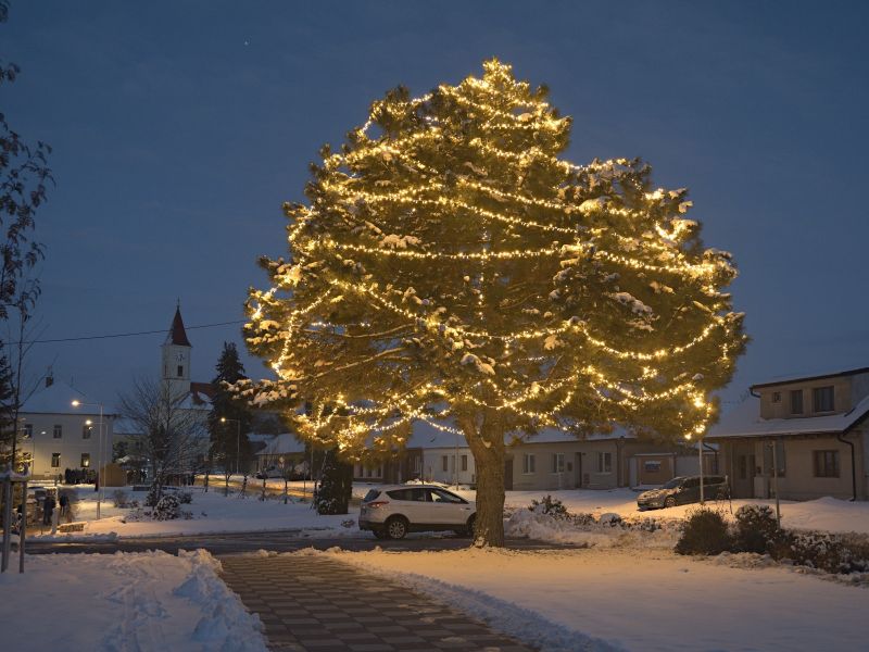 Rozsvícení vánočního stromu