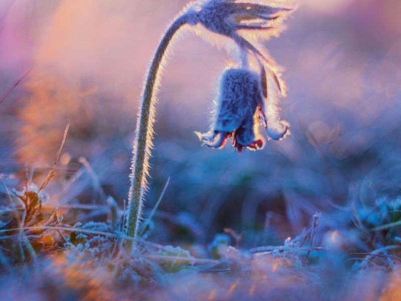 Fotokrajinářský den na Pálavě