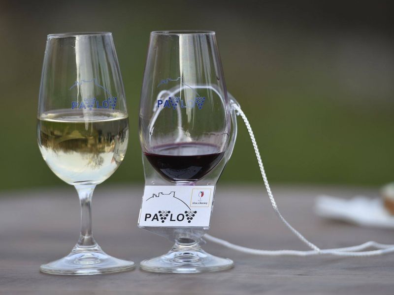 Den otevřených sklepů - jarní termín