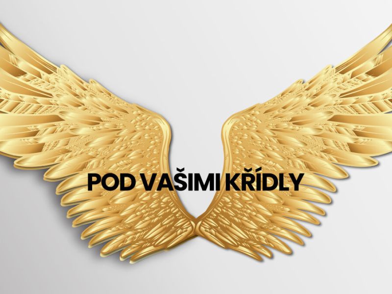 Pod vašimi křídly