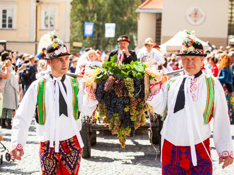 Pálavské vinobraní Pálavské vinobraní