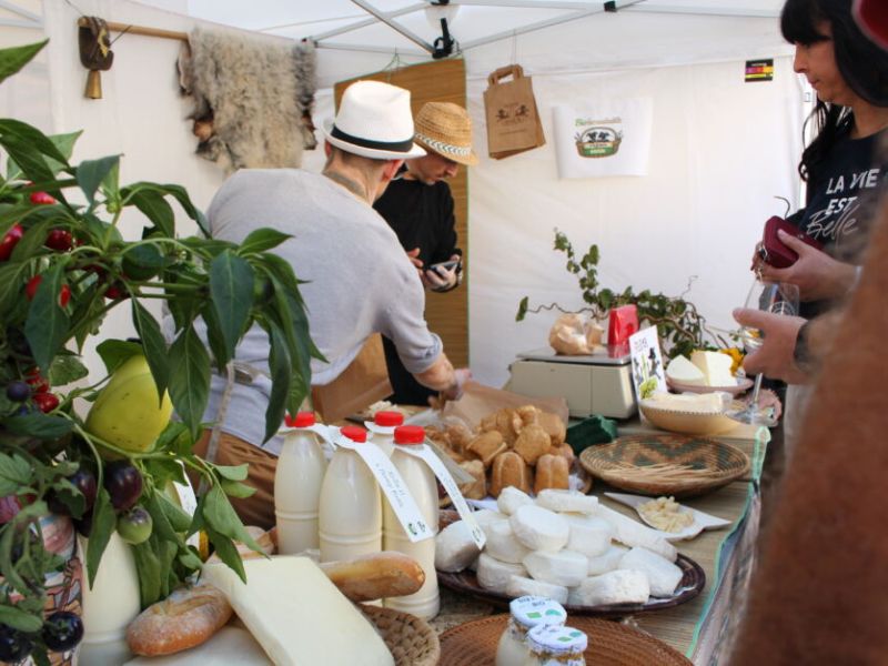 Festival bio vín a sýrů