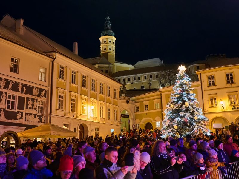 Rozsvícení vánočního stromu Rozsvícení vánočního stromu