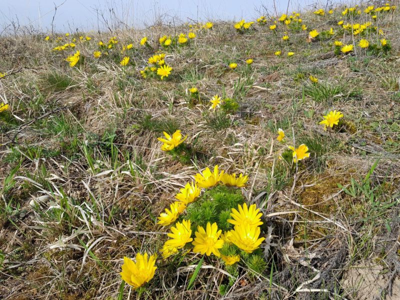 Pálavou po kočičích stopách