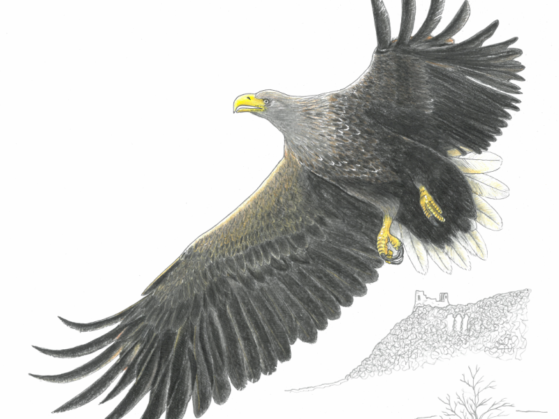 Vernisáž výstavy Pod křídly orla: druhy Pálavy zblízka