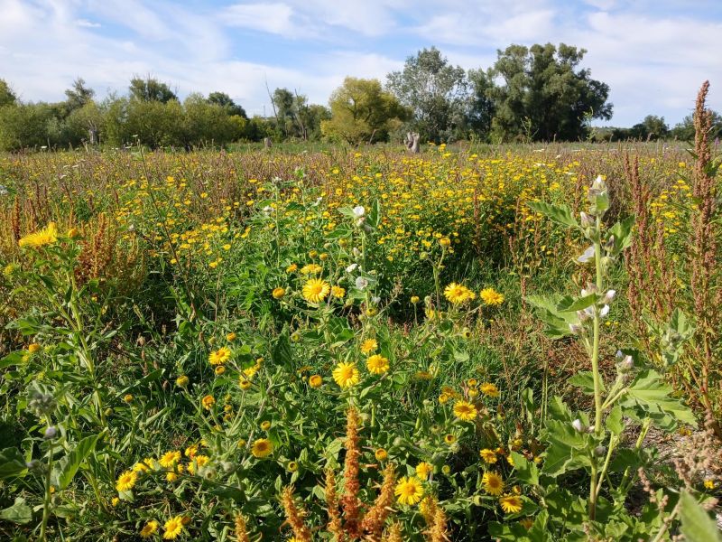 50 let CHKO Pálava ze Slaniska u Nesytu