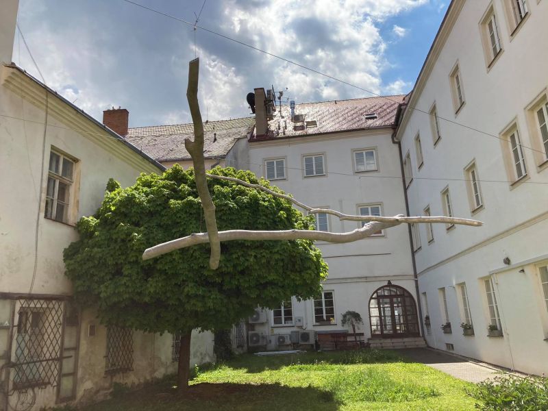 Naučná stezka umění