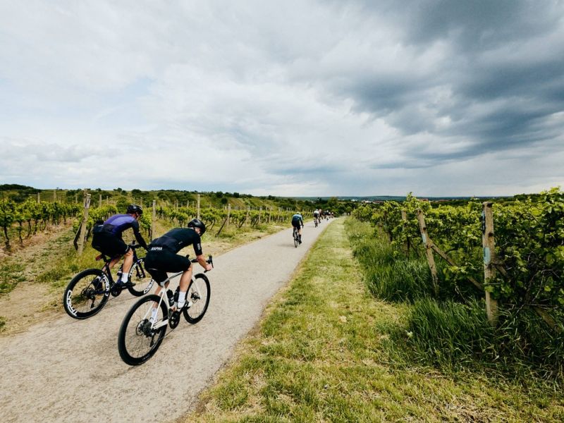 Road Classics Pálava 2026