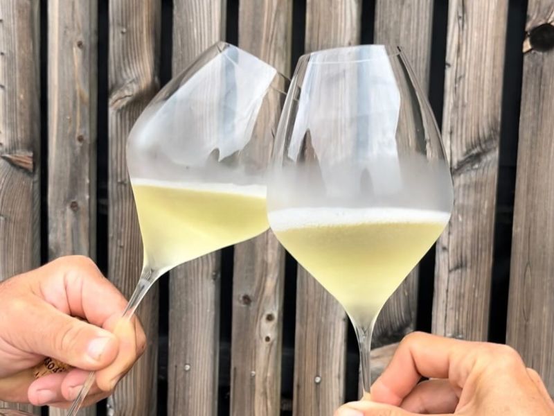 Představení ročníku vinařství GALA