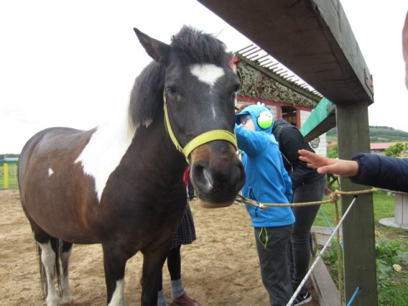 Pálení čarodejnic na Strakatém dvoře