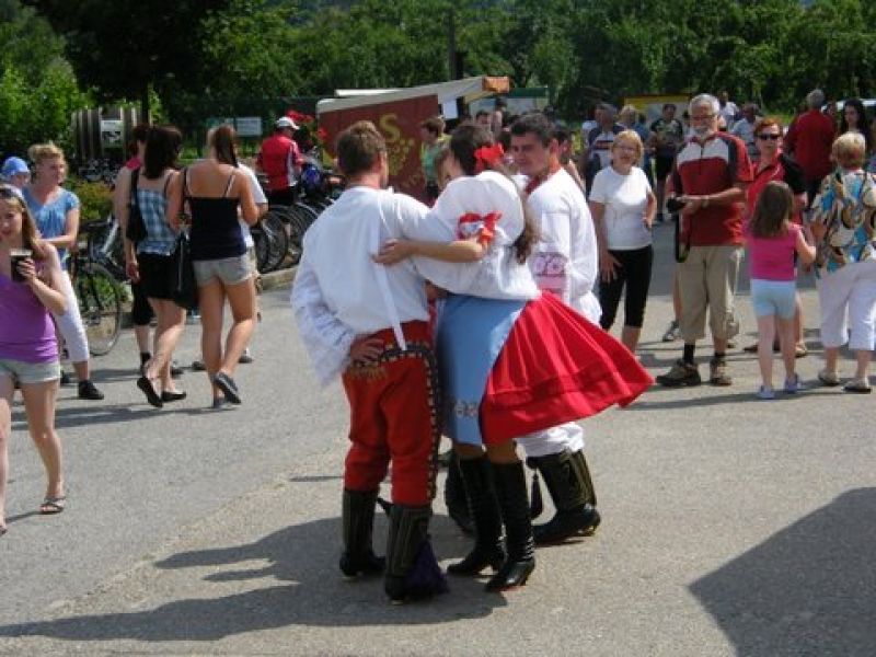 Festival Sedleckých vín Festival Sedleckých vín