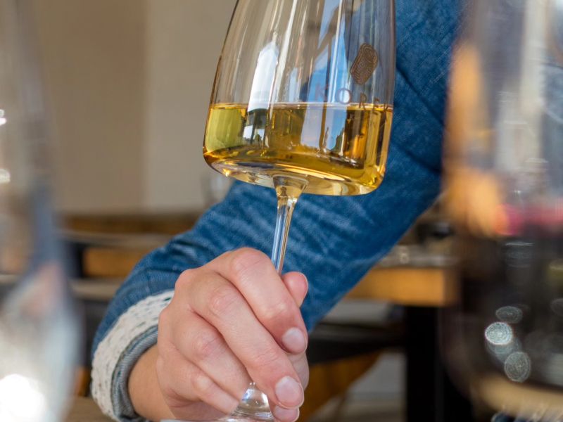 Degustace Vinařství Kern