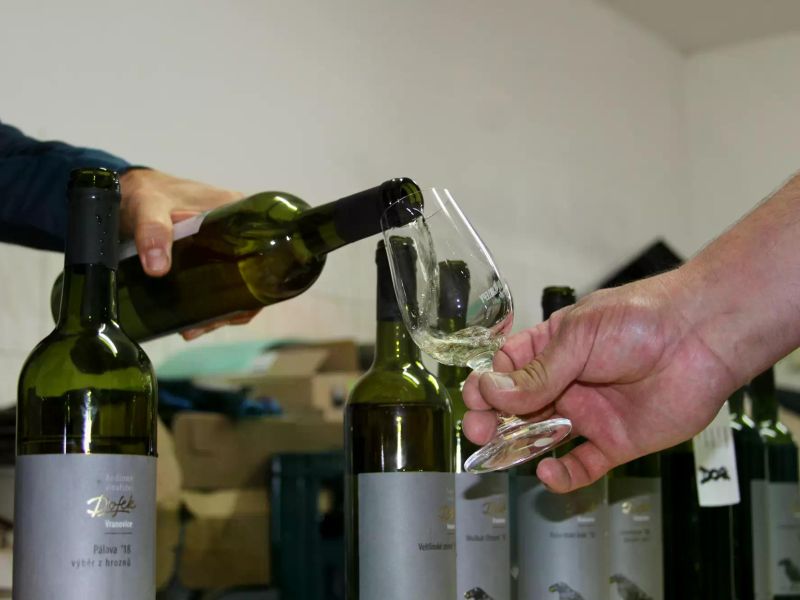 7. ročník Otevřené sklepy Vranovice