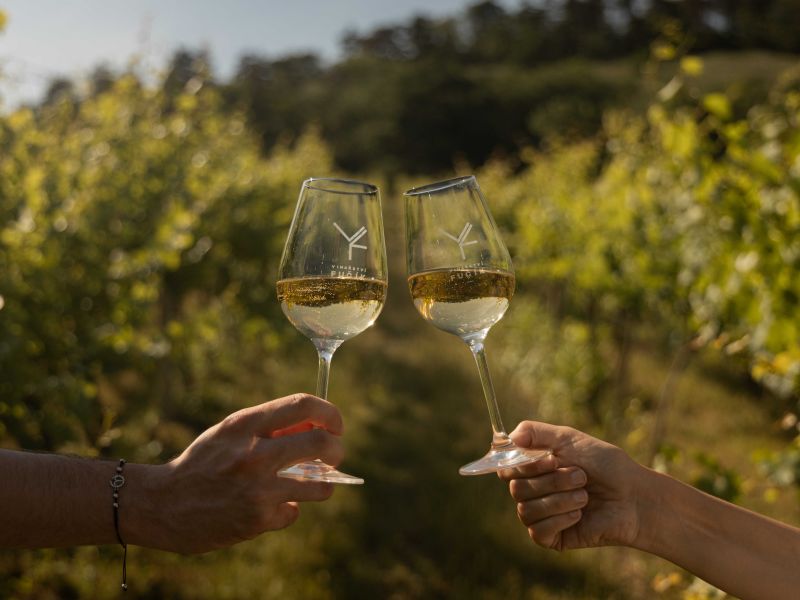 Exkurze ve Vinařství Fučík Exkurze ve Vinařství Fučík